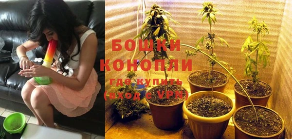 дмт Каменногорск