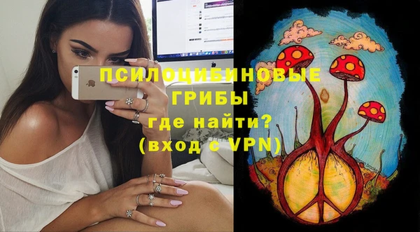 соль ск Киреевск