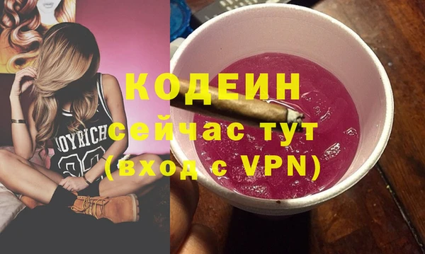 2c-b Каменка