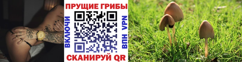 Галлюциногенные грибы прущие грибы  Киреевск 