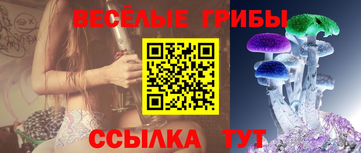 Псилоцибиновые грибы Psilocybe Киреевск