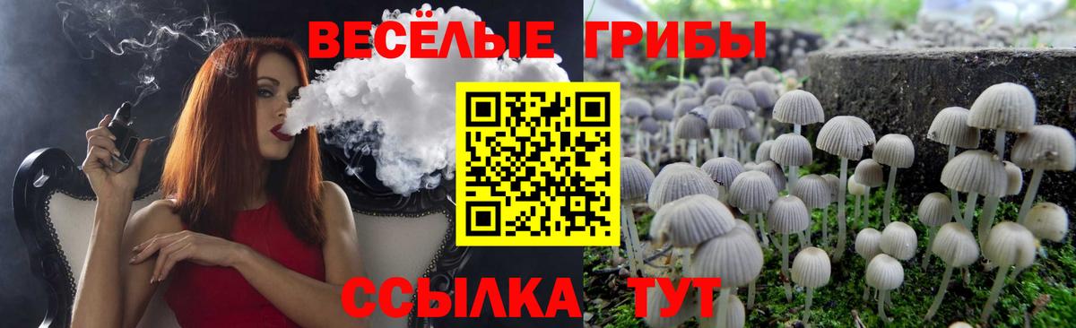 Галлюциногенные грибы ЛСД  Вход с VPN  Киреевск  Галлюциногенные грибы прущие грибы 